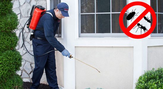 Eceabat Böcek İlaçlama böcek ilaçlama ve haşere kontrolü — ilaclama-tr.com